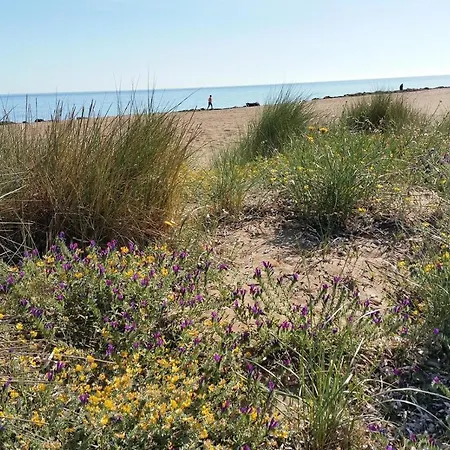 Holiday home Jardines De 3 Denia